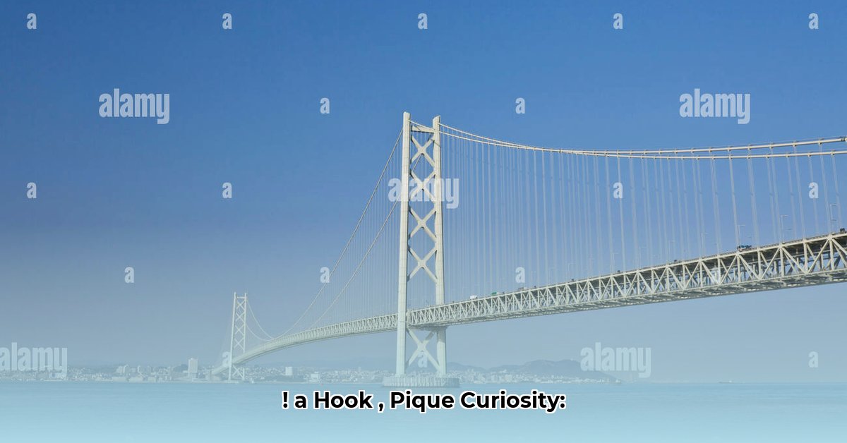 seto-kaiba-net-worth